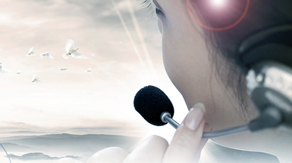 售前技術(shù)咨詢